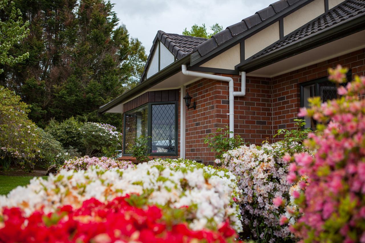 Clover Downs Homestead Rotorua Exteriér fotografie